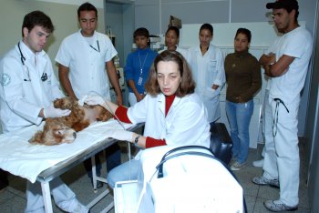 Estudantes do Colégio Criarte visitam Hospital Veterinário